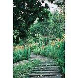 Объектив TTArtisan 50mm F0.95 X-mount, фото 7