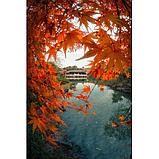 Объектив 7Artisans 7.5mm F2.8 II Fisheye E-mount, фото 6