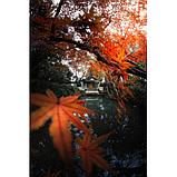 Объектив 7Artisans 7.5mm F2.8 II Fisheye E-mount, фото 7