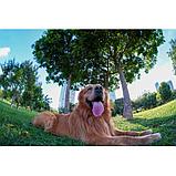 Объектив TTArtisan 7.5mm F2 Fisheye M-mount, фото 6