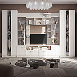 Гостиная ВЕНЕЦИЯ (Ясень белый) BTS, фото 2