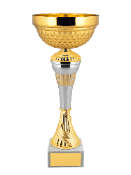 Кубок эконом 5091