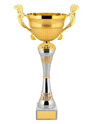 Кубок эконом 5090