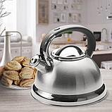 Чайник со свистком 2.8л Maestro MR-1332, фото 3