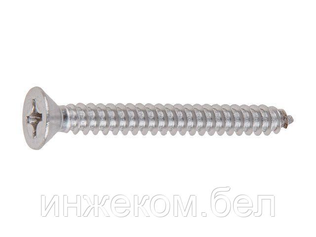 Саморез 5.5х38 мм потай головка, острый, нерж.сталь (А2), DIN 7982 (500 шт в карт. уп.) (STARFIX)