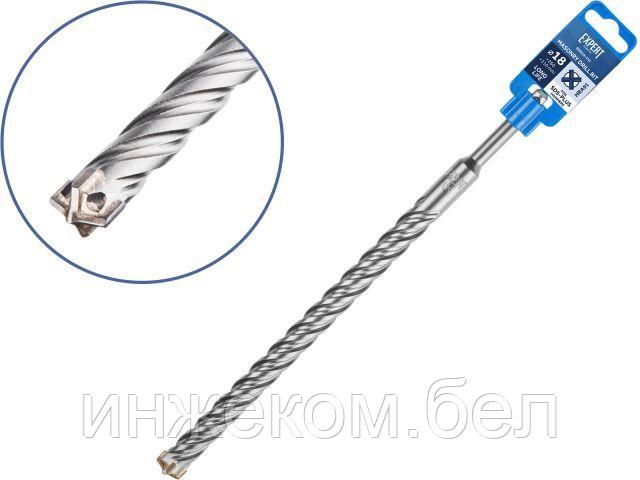 18х260х310 мм бур (сверло) SDS-plus EXPERT STARTUL (бур по бетону, крестовая пластина)