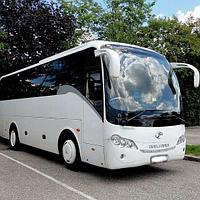 Аренда автобуса 50 мест