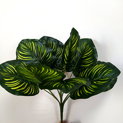 Букет Диффенбахия 9 листьев 30 см