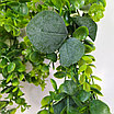 Гирлянда лиана Брусничник с эвкалиптом 180 см, фото 3