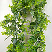 Гирлянда лиана Брусничник с эвкалиптом 180 см, фото 2