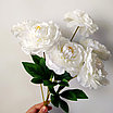 Букет пионов 7 голов 40 см, фото 5