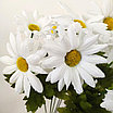 Ветка Хризантема-ромашка 16 головок 48 см, белый, фото 2
