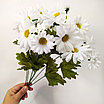 Ветка Хризантема-ромашка 16 головок 48 см, белый, фото 6