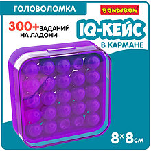 Игра-головоломка IQ - Кейс