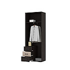 Гостиная Яна шкаф двухстворчатый, фото 2