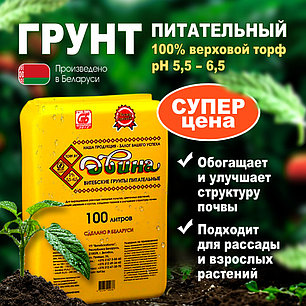 Грунт Двина питательный 100 л. РБ (торфяной), фото 2