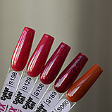 Гель-лак Rofix S158, 10 гр, фото 2