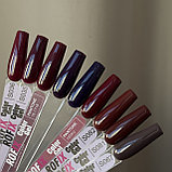 Гель-лак Rofix S82, 10 гр, фото 2