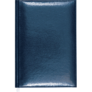 Ежедневник на 2026 год Visa Attomex