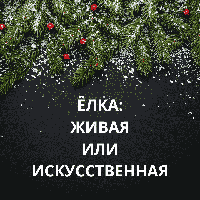 Вечная дилемма: искусственная или натуральная ёлка? Какую выбрать