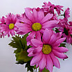 Ветка Хризантема-ромашка 16 головок 48 см, розовый, фото 3