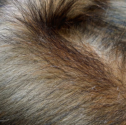 Мех искусственный длинноворсовый (коричневый цвет), фото 2