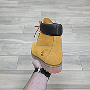 Ботинки Timberland 6 Inch Light Brown, фото 4