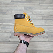 Ботинки Timberland 6 Inch Light Brown, фото 2