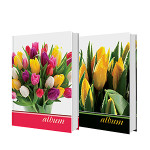 Image Art 005 IA -200ВВ цветы