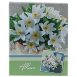 Image Art 102 IA -200PP