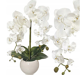 Цветочная композиция из орхидей в кашпо 60 см , R-20