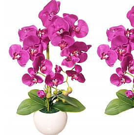Цветочная композиция из орхидей в кашпо 60 см , R-20-1