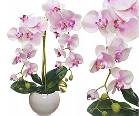 Цветочная композиция из орхидей в кашпо 60 см , R-20-3