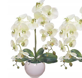 Цветочная композиция из орхидей в кашпо 60 см ,  R-20-4