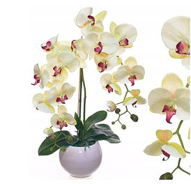Цветочная композиция из орхидей в кашпо 60 см ,  R-20-5