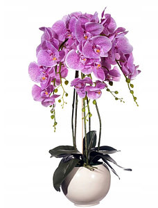 Цветочная композиция из орхидей в кашпо 65 см,  5 веток , R-301-2