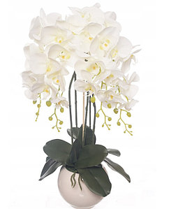 Цветочная композиция из орхидей в кашпо 65 см,  5 веток , R-301-1