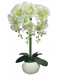 Цветочная композиция из орхидей в кашпо 62см , 3 ветки,  R-74-2