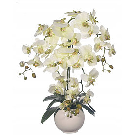 Цветочная композиция из орхидей в кашпо 67 см, 4 ветки,  R-104