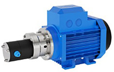 Шестеренные насосы с магнитной муфтой НШГ (из PTFE)