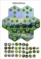 2102 Стенд магнитный с комплектом магнитов природа Беларуси