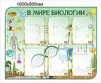 2226 Стенд информационный в кабинет биологии