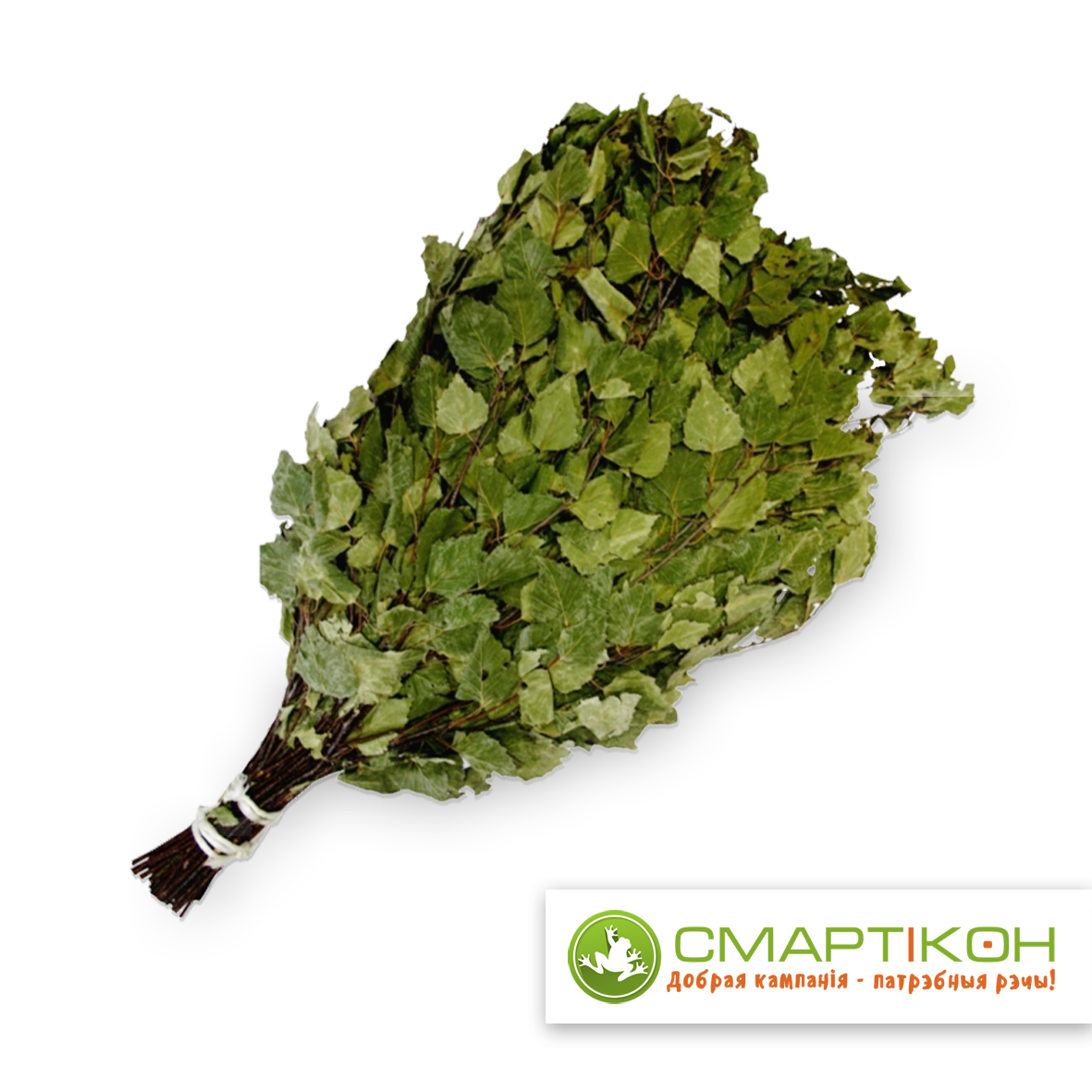 Березовый веник для бани