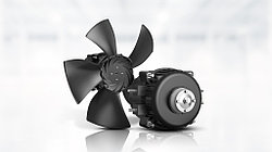 ebm‑papst представляет EC-мотор iQx для холодильных систем супермаркетов