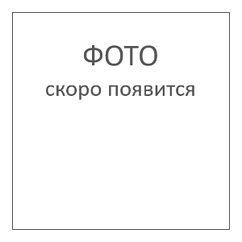 Гидроцилиндр ГЦ 70.50х250.59 (594) Ф80/М12, G3/8" на пилораму с внутренней резьбой на штоке