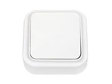 Выключатель 1 клав. (открытый, 6А) белый, Пралеска, Bylectrica