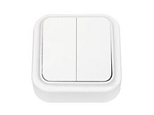 Выключатель 2 клав. (открытый, 6А) белый, Пралеска, Bylectrica