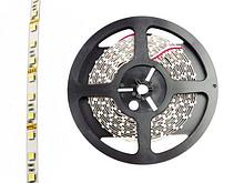 Лента светодиодная PLS-5050/60 (14.4 Вт/м, 900 Лм/м, 6500К, IP20, 12В (5 м в уп.) JAZZWAY