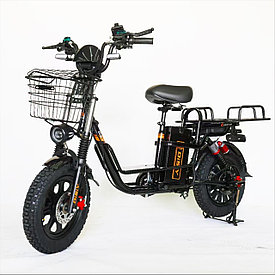 Электровелосипед Favorit THOR-20