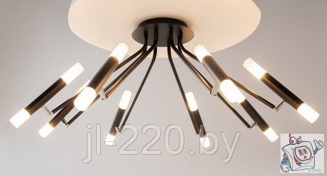 Cветильник потолочный Maytoni Modern Vigo MOD620CL-16B, IP20, черный, белый